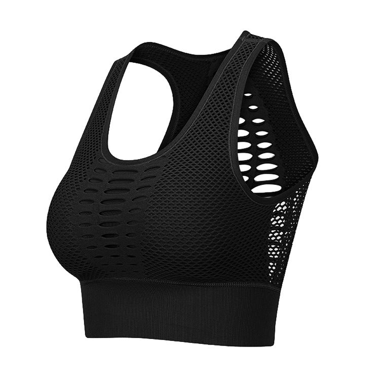 WOMENS - High Impact Seamless Women's Sports Bra